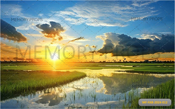 GREEN FIELDS WITH SUNLIGHT AND BLUE SKY - PRINTED BACKDROPS