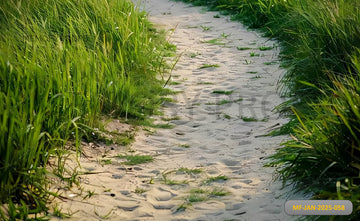 GRASS AND SANDY COUNTRY TRAIL FLOOR - PRINTED BACKDROPS