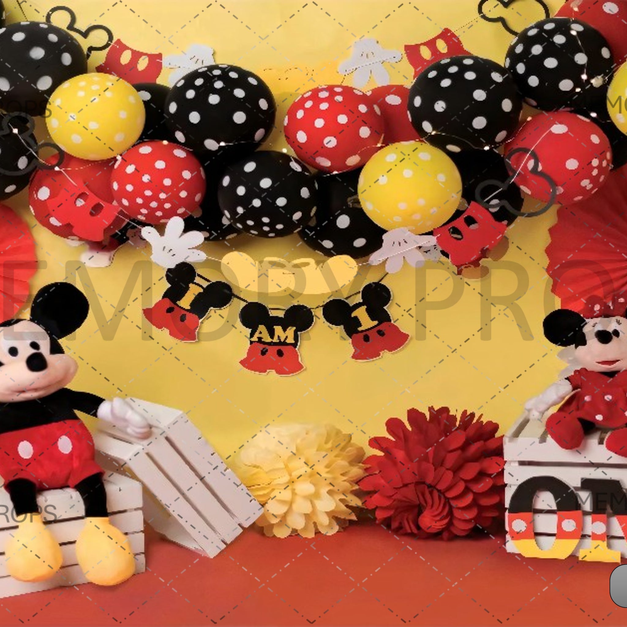 MICKEY MINNIE MOUSE THEME - PRINTED BACKDROPS