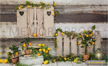 LEAMON TREE BARN - PRINTED BACKDROPS