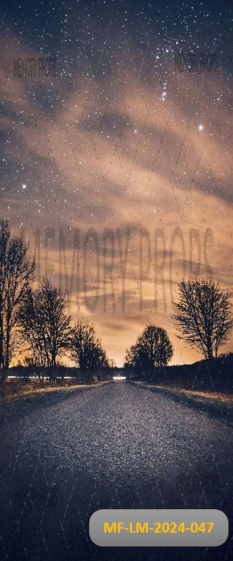 NATURE NIGHT SHINY ROAD ENDLSS TREE ROADSIDE - PRINTED BACKDROPS