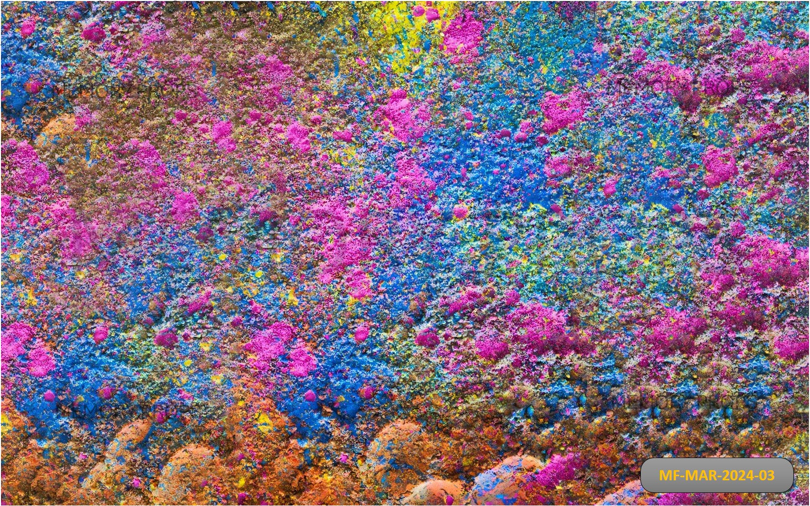 HOLI COLOUR MIX EXPLOSION - PRINTED BACKDROPS