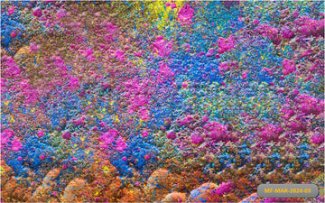 HOLI COLOUR MIX EXPLOSION - PRINTED BACKDROPS