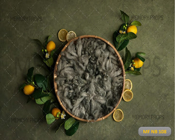 LEMON WITH BASKET - PRINTED BACKDROP