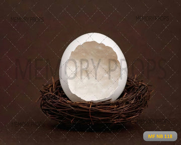 EGG IN NEST - PRINTED BACKDROP