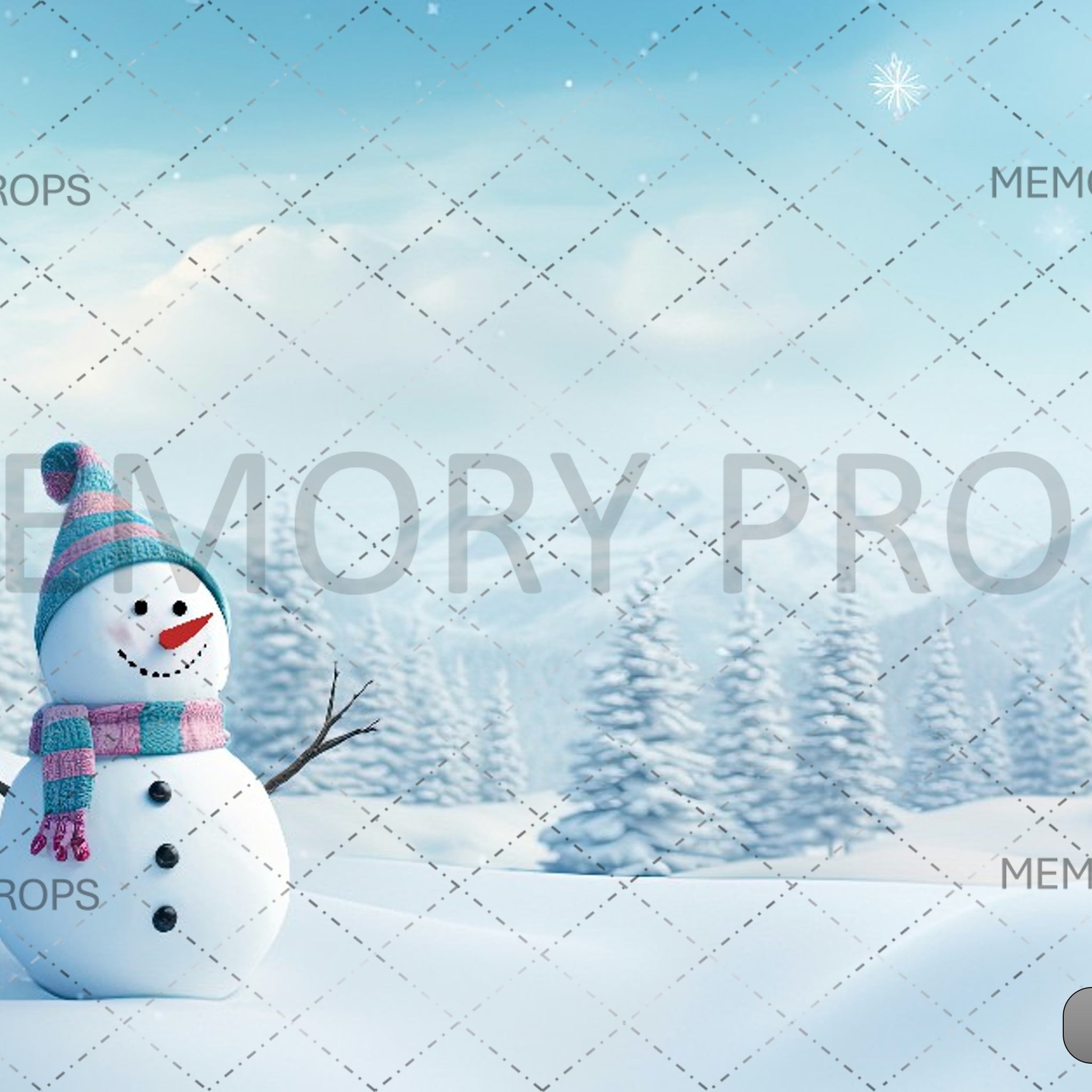 CHRISTMAS SNOWMAN WINTER SNOWY LANDSCPE WHITE CLOUD - PRINTED BACKDROPS