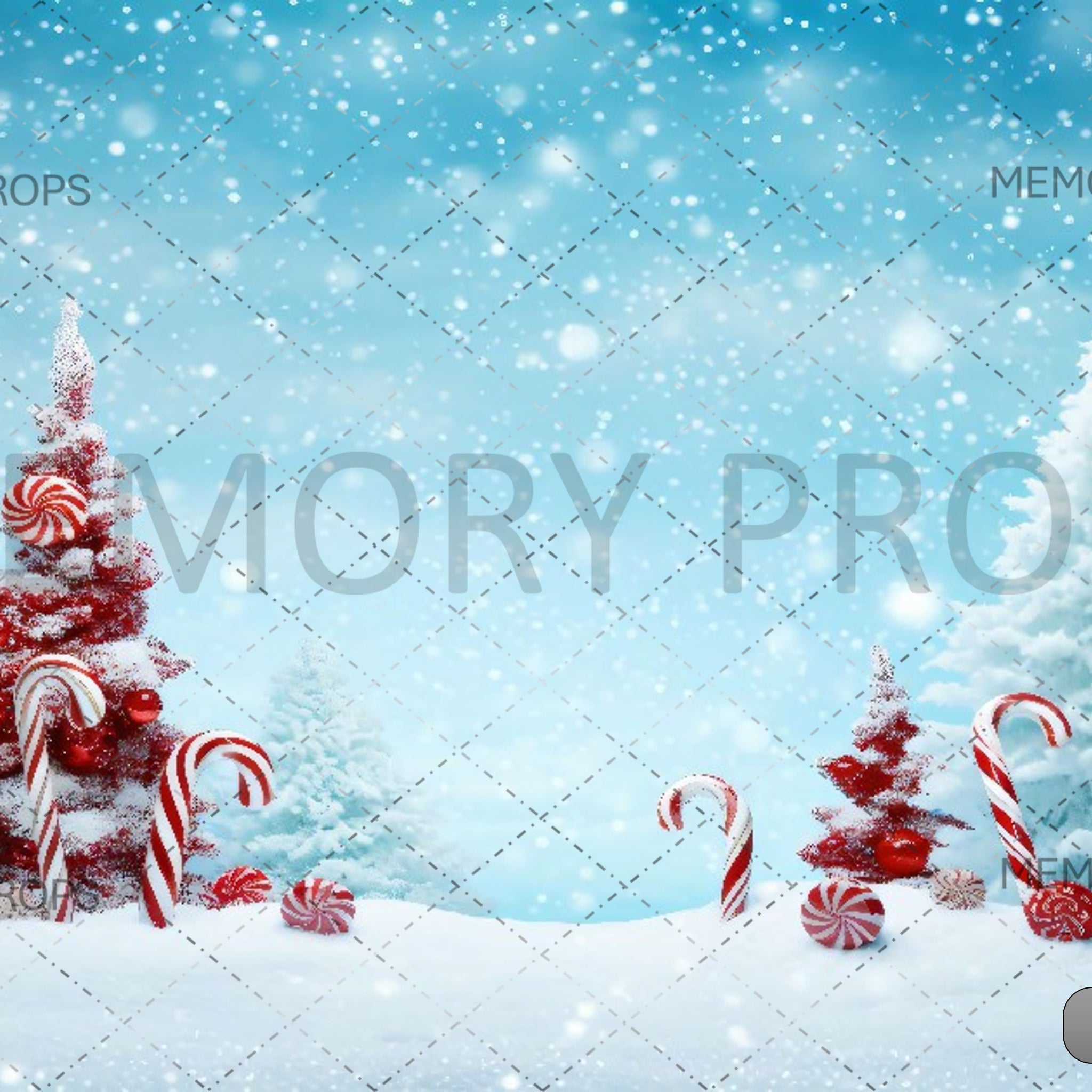 CHRISTMAS CANDIES AND CHRISTMAS TREE - PRINTED BACKDROPS