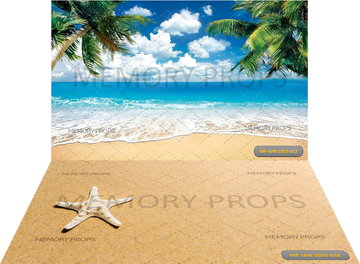 SUMMER BEACH + STARFISH ON THE SAND BACKDROPS