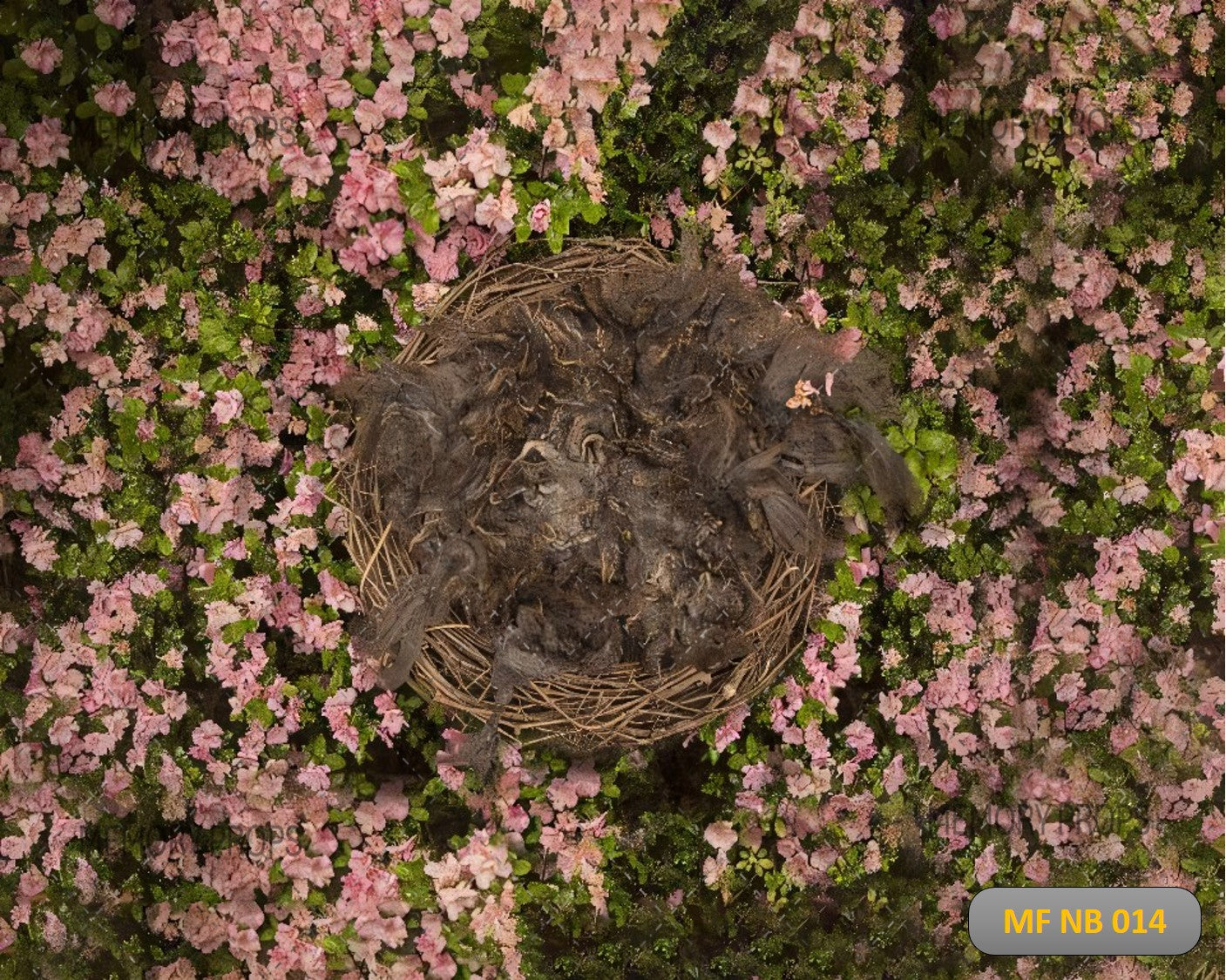 GARDEN CRADLE SETTING - NEW BORN BACKDROPS